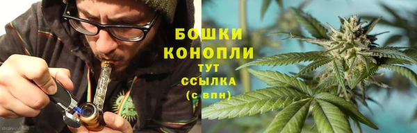 крисы Бикин