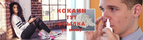 стафф Баксан