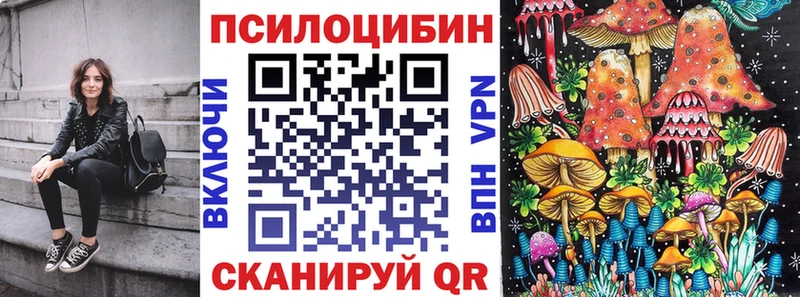 Псилоцибиновые грибы мицелий  Унеча 